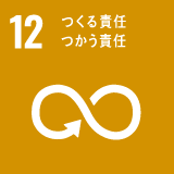 sdg_icon_12