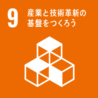 sdg_icon