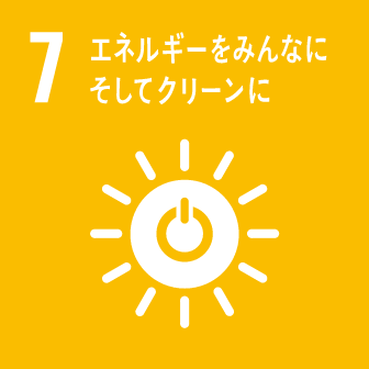 sdg_icon