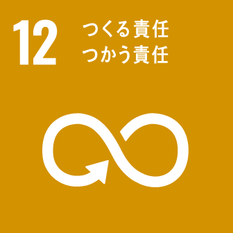 sdg_icon